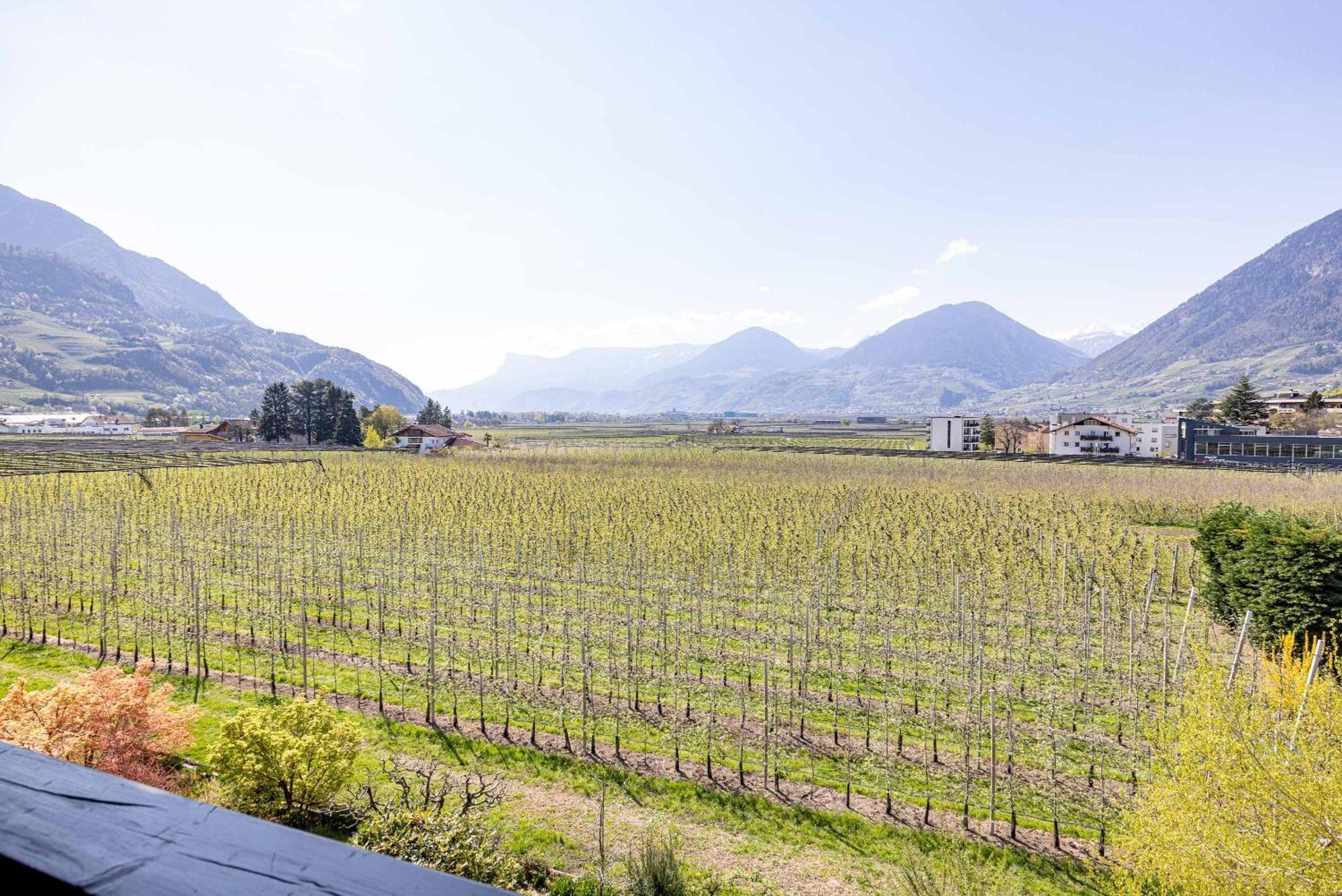 Residence Pollingerhof Merano Bagian luar foto